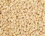 Coir Fiber