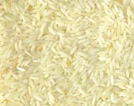 Coir Fiber