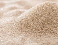 Coir Fiber