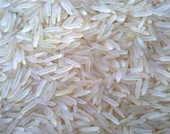 Coir Fiber
