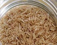 Coir Fiber