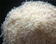 Coir Fiber