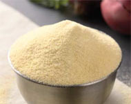 Coir Fiber