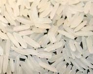 Coir Fiber