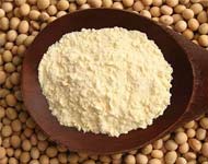 Coir Fiber