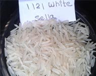 Coir Fiber