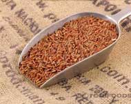 Coir Fiber