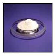 Coir Fiber