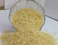 Coir Fiber