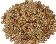 Coir Fiber