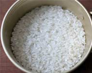 Coir Fiber