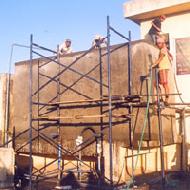Coir Fiber