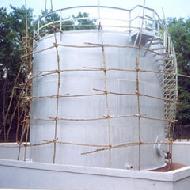 Coir Fiber