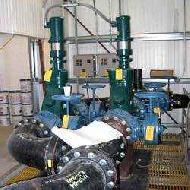 Coir Fiber