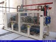 Coir Fiber