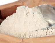 Coir Fiber