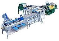 Coir Fiber