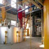 Coir Fiber