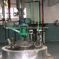 Coir Fiber