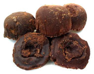 Coir Fiber