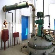 Coir Fiber