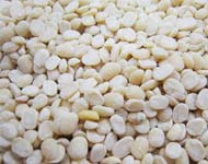 Coir Fiber
