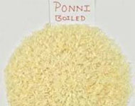 Coir Fiber