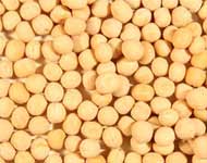 Coir Fiber