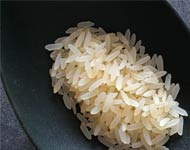 Coir Fiber