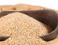 Coir Fiber