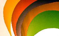 Coir Fiber