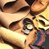 Coir Fiber