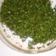 Coir Fiber