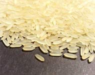 Coir Fiber