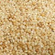 Coir Fiber