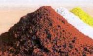Coir Fiber