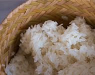 Coir Fiber