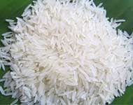 Coir Fiber