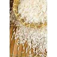 Coir Fiber