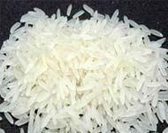 Coir Fiber