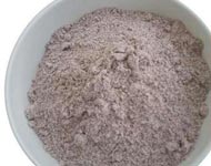 Coir Fiber