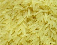 Coir Fiber