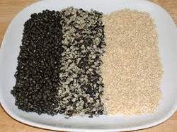 Coir Fiber