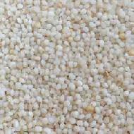 Coir Fiber