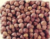 Coir Fiber
