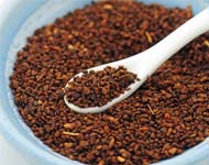 Coir Fiber