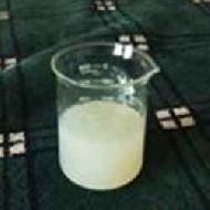 Coir Fiber