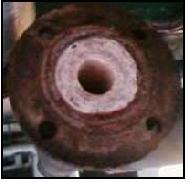 Coir Fiber