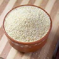 Coir Fiber
