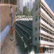 Coir Fiber